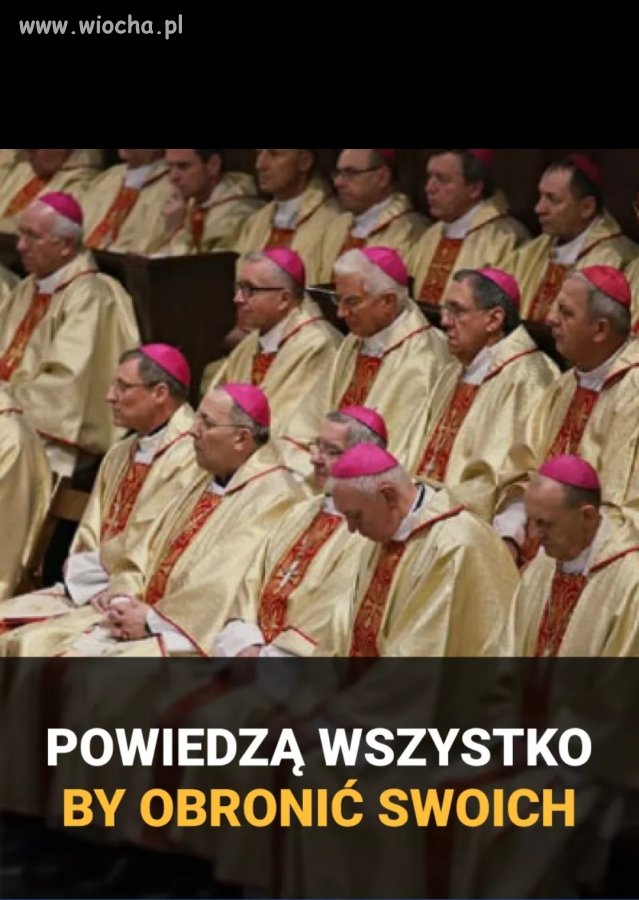 Szkoda że Polacy nie potrafią 