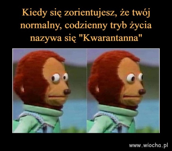 100 %