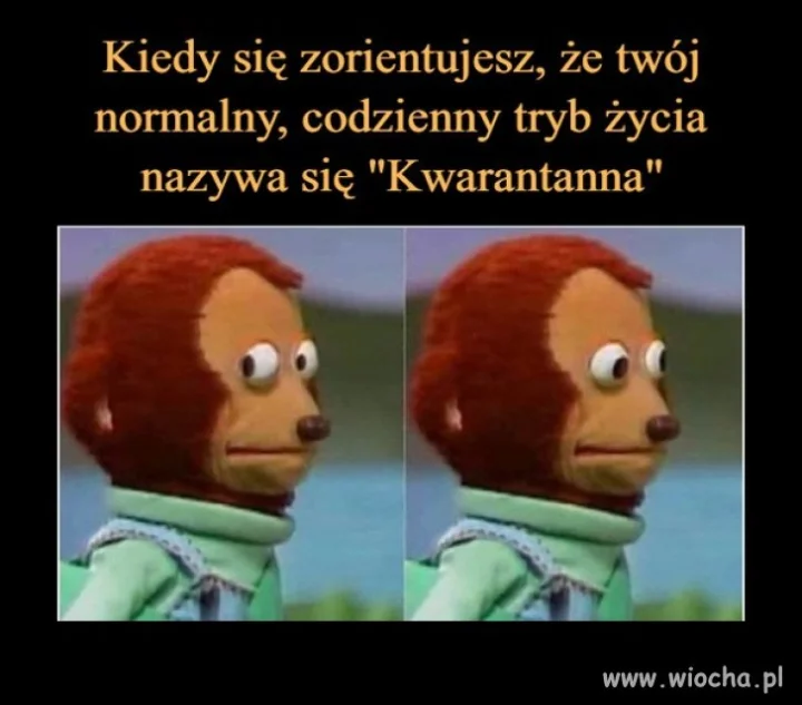 100 %