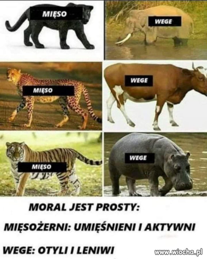 Jedz mięso. 