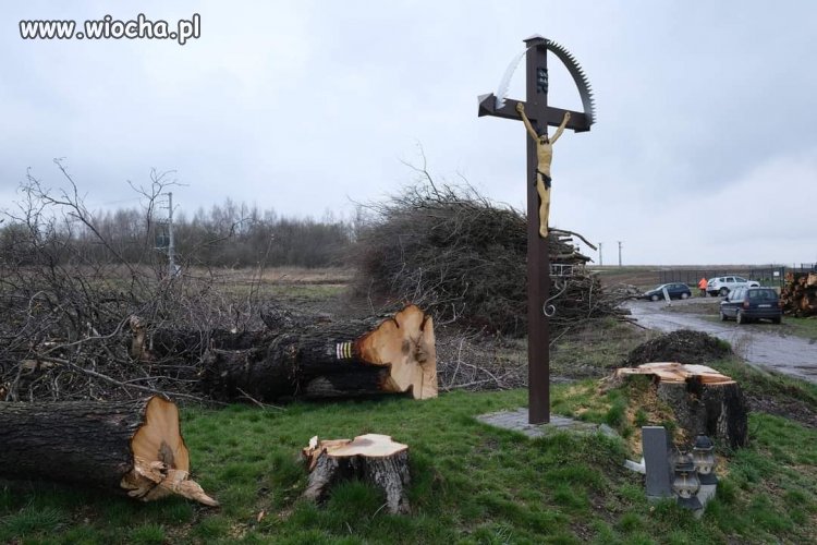 Zostanie tylko las ... krzyży
