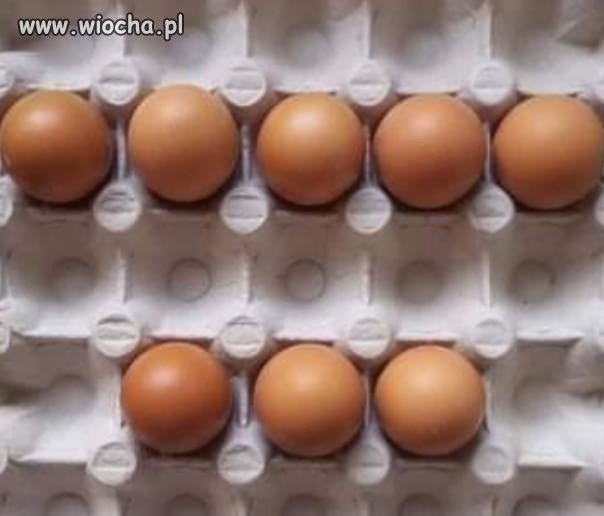 Pozdrowienia dla miłośników 