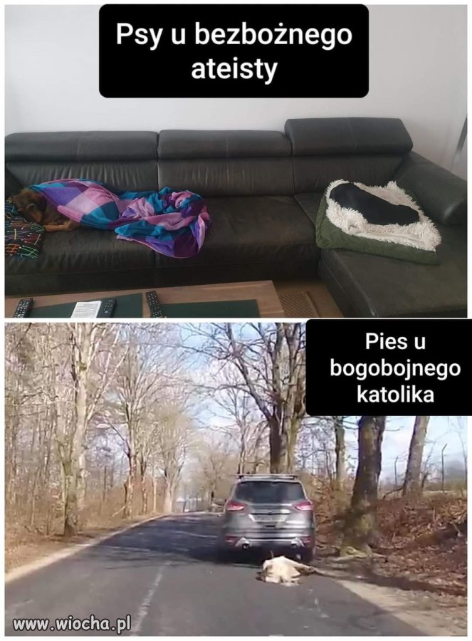 Oj tam, to lewackie marudzenie i zatruwanie ideologią 