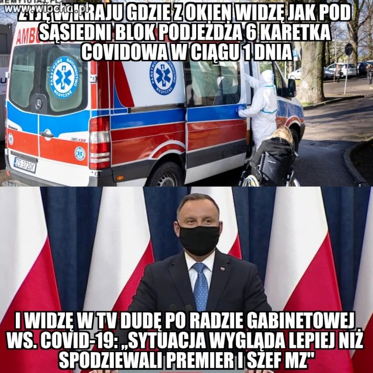 Prawda z okna i prawda z ekranu