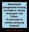 Choć raz powiedział prawdę ...