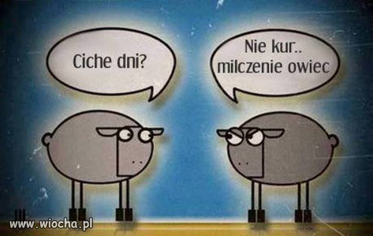 Z cyklu ~bez żadnej polityki~