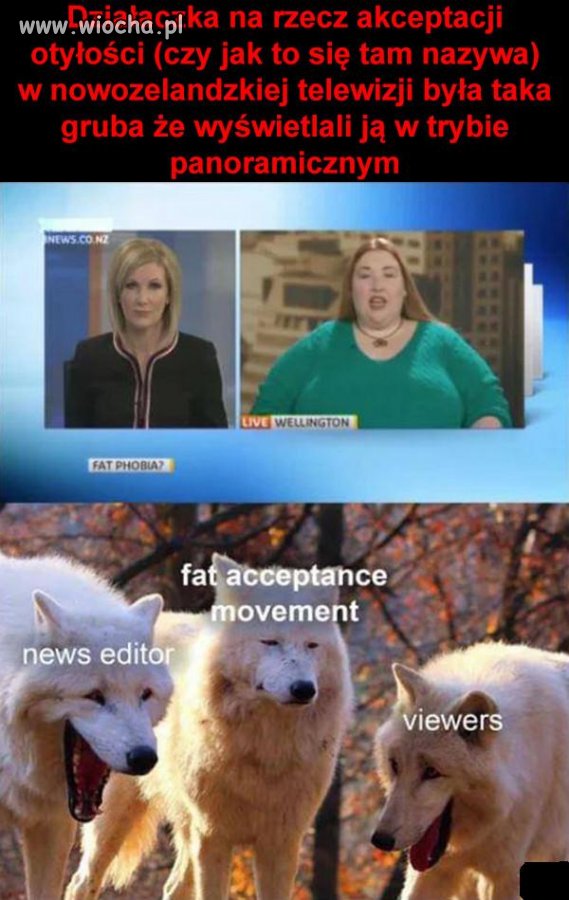 Fat TV