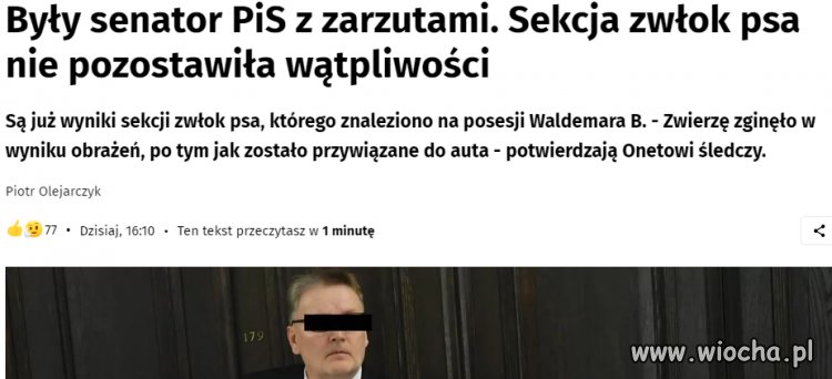 Drugi z psów senatora miał mniej szczęścia