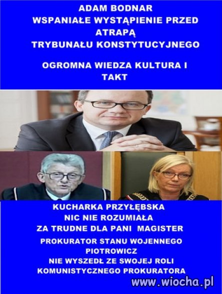 Polacy i PiSiory...