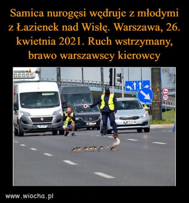 Brawo kierowcy!