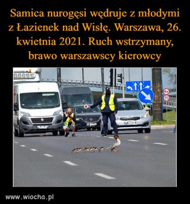 Brawo kierowcy!