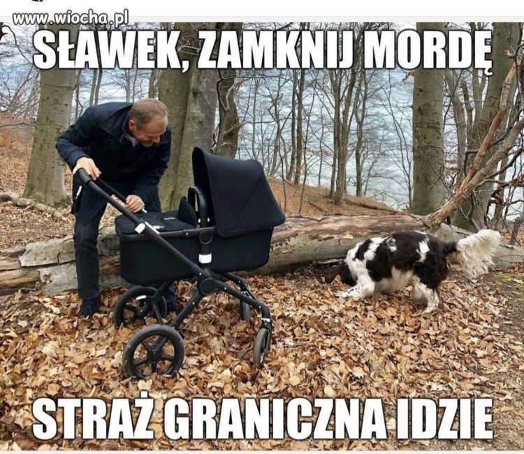 Doskonały kamuflaż 