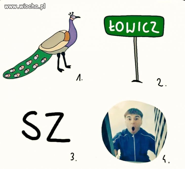 Taki sobie rebus
