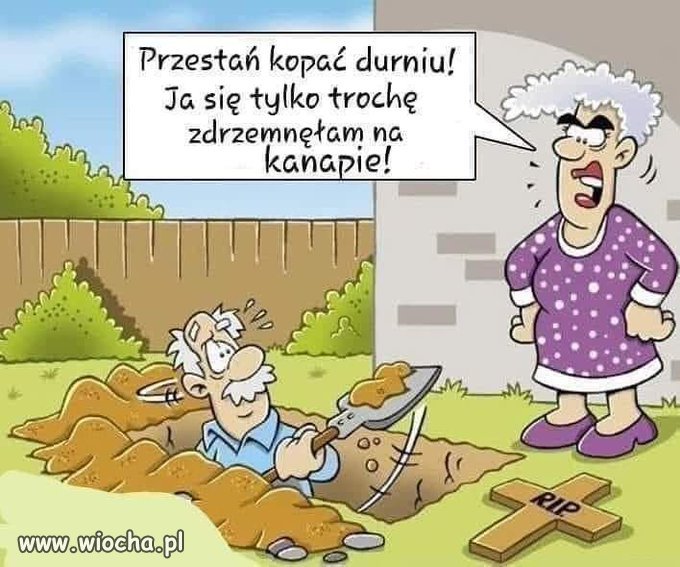 Stefan się pospieszył 