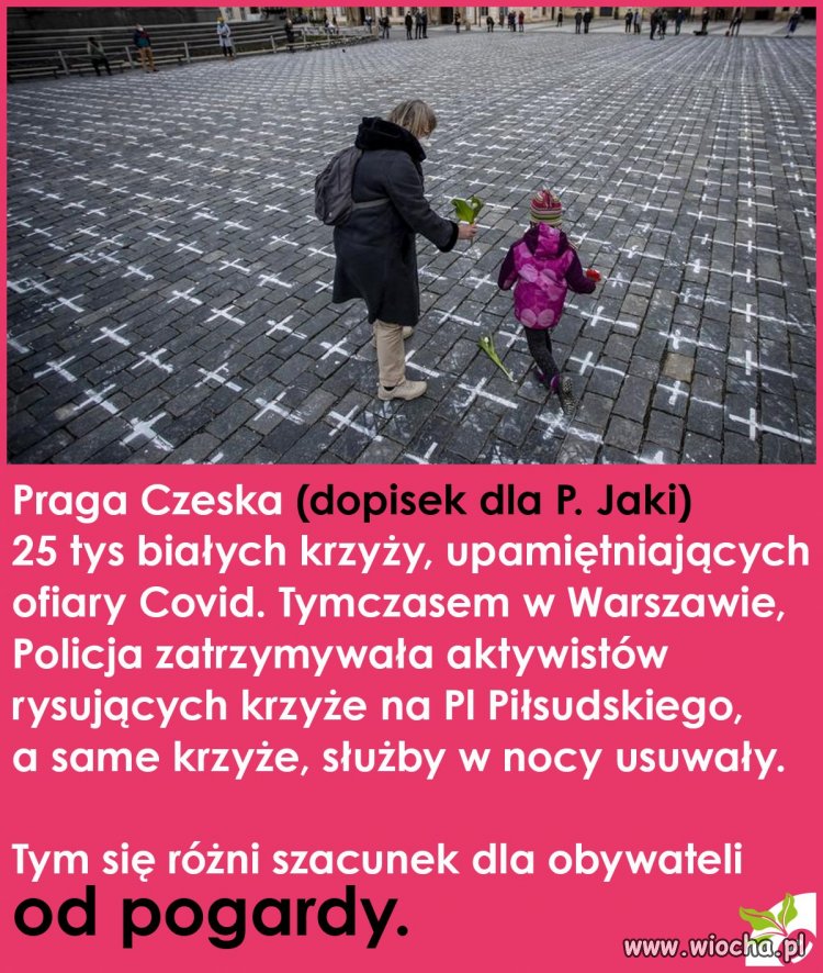 Pogarda dla narodu 