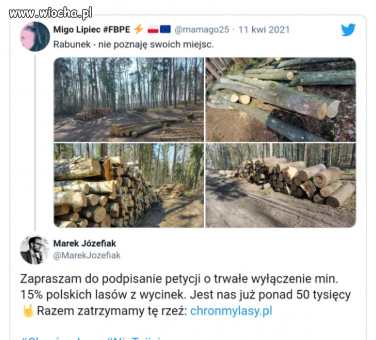 Nienawiść do myślących rozumiem, pogarda do...