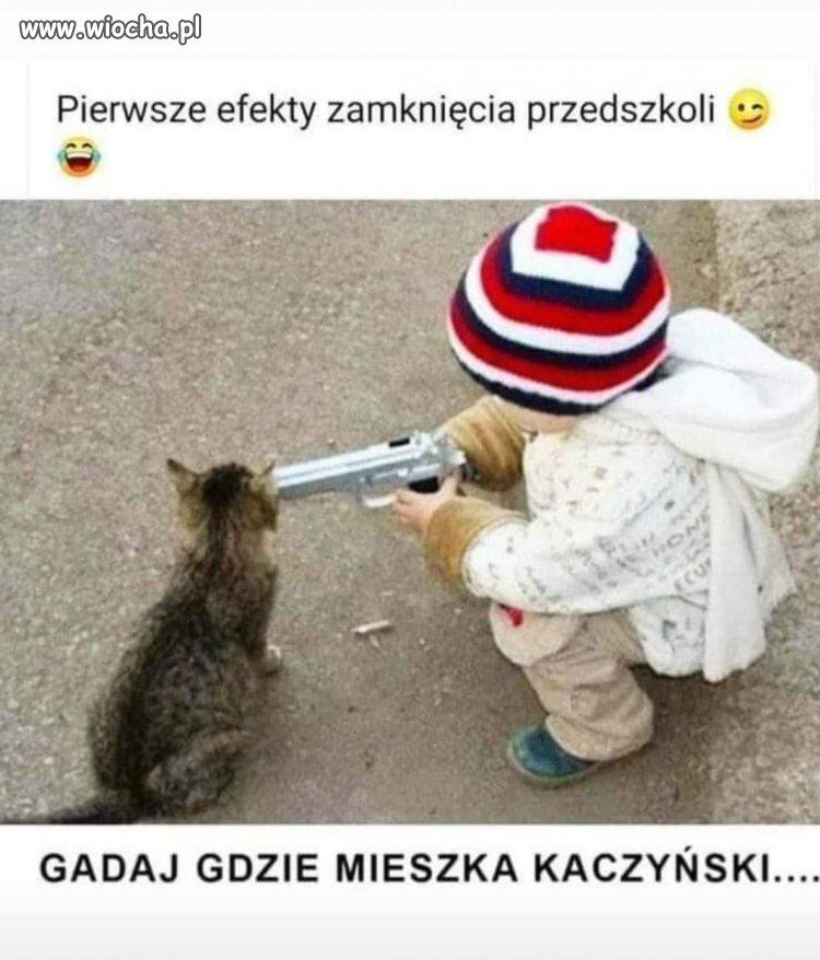 Efekty 
