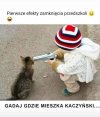 Efekty 