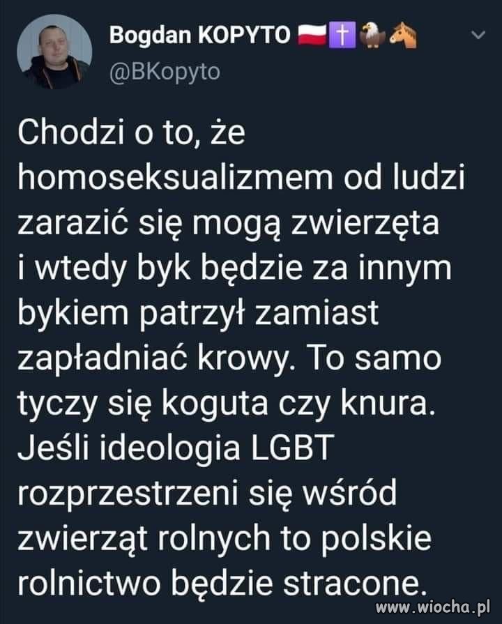 Z jakiej jaskini to, to wyskoczyło?