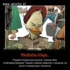 Medialna klapa