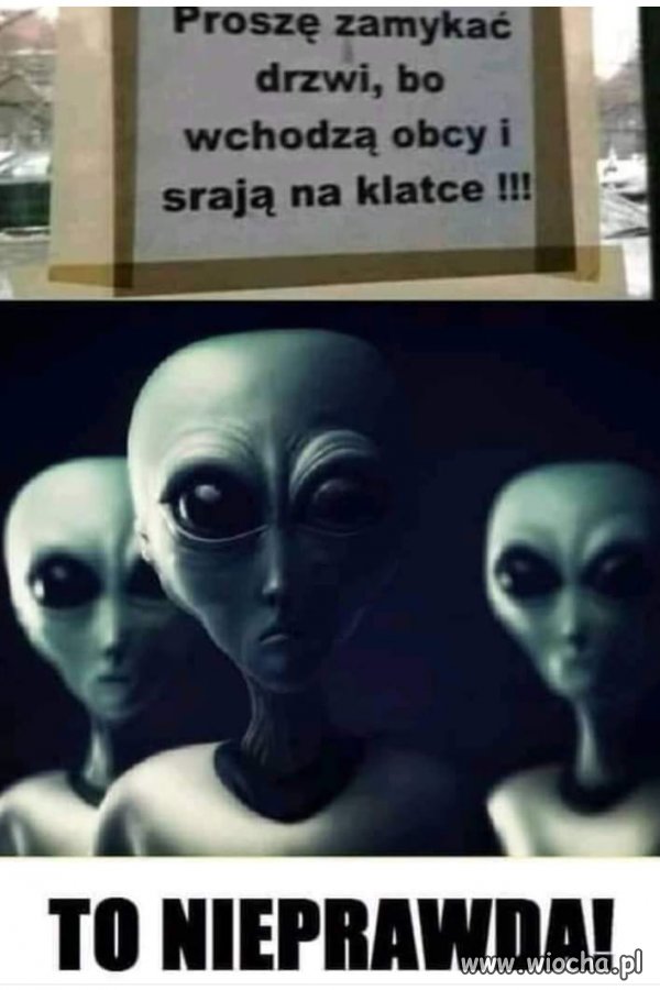 Pomówienia...