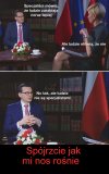 Nos mi rośnie