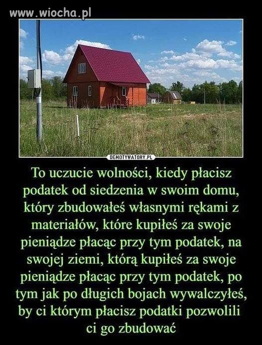 Bandytka w majestacie prawa