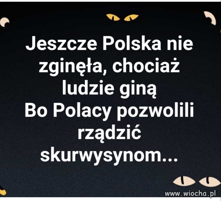 ☆☆☆☆☆ ☆☆☆