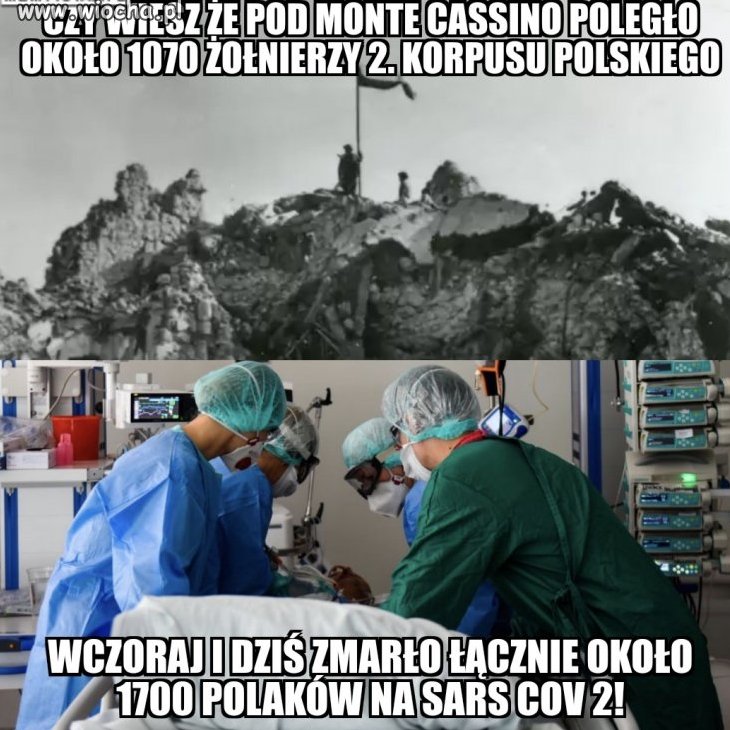 Oto cena sukcesu pisiego qrwidołka z dykty