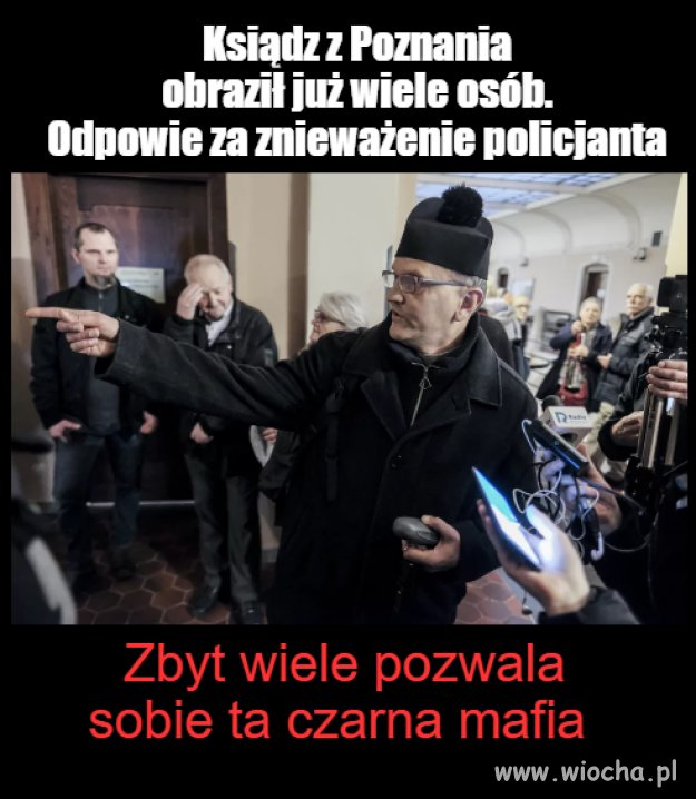 A pieski stały z podkulonymi ogonami