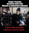 A pieski stały z podkulonymi ogonami