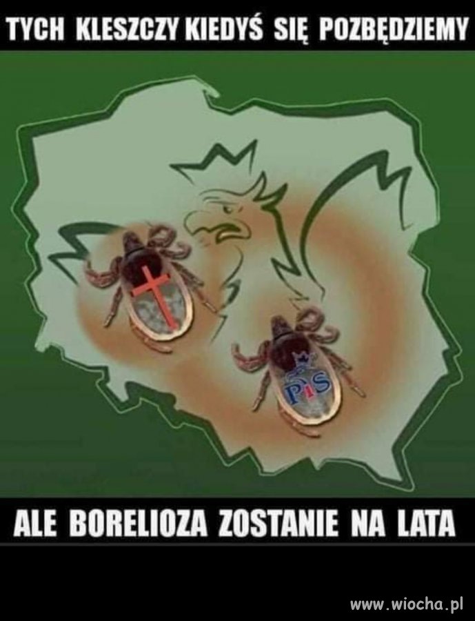 W punkt! 