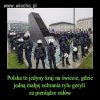Polska...