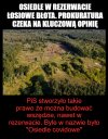 Tworzymy prawo dla naszych 