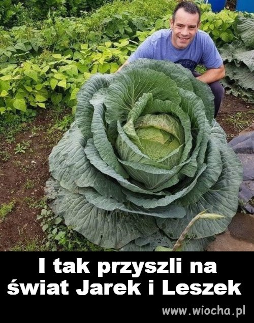 Skąd oni się wzięli 