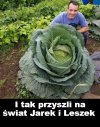Skąd oni się wzięli 