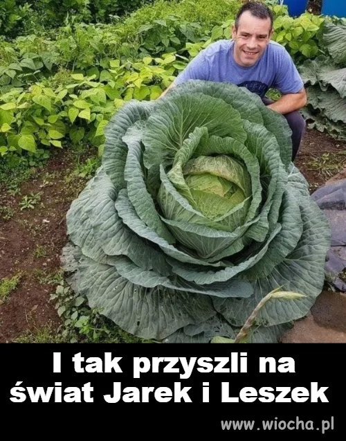 Skąd oni się wzięli 