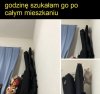 Heheszki