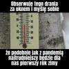 Trochę niedzielnego optymizmu