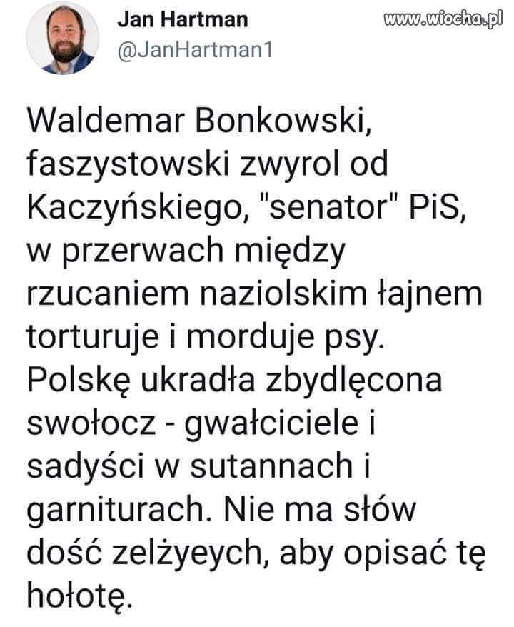W skrócie 