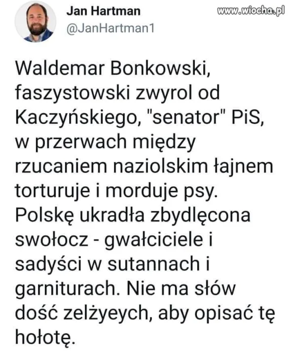 W skrócie 