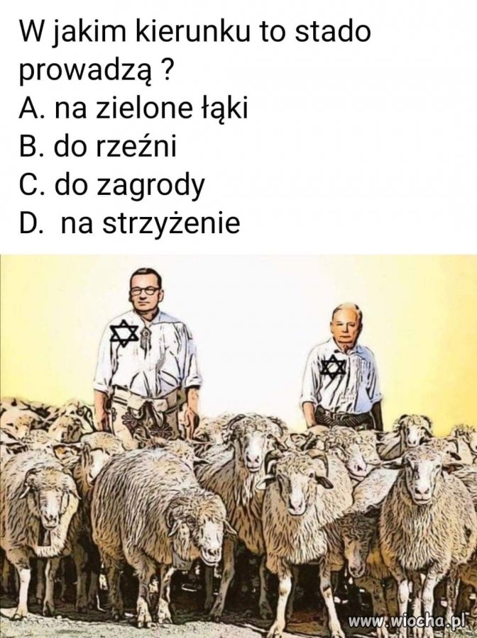 Każdy wie... 