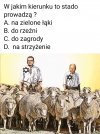 Każdy wie... 