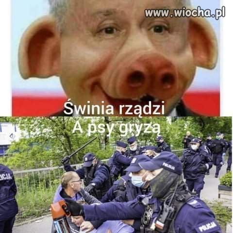 ☆☆☆☆☆ ☆☆☆