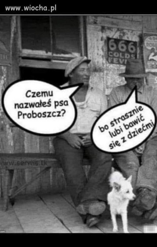 Trafne...