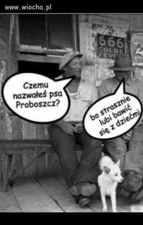 Trafne...
