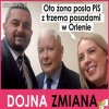 Dojna zmiana 