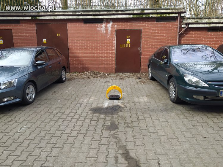 Szczecin-samowola parkingowa