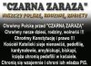 Dokładnie tak.