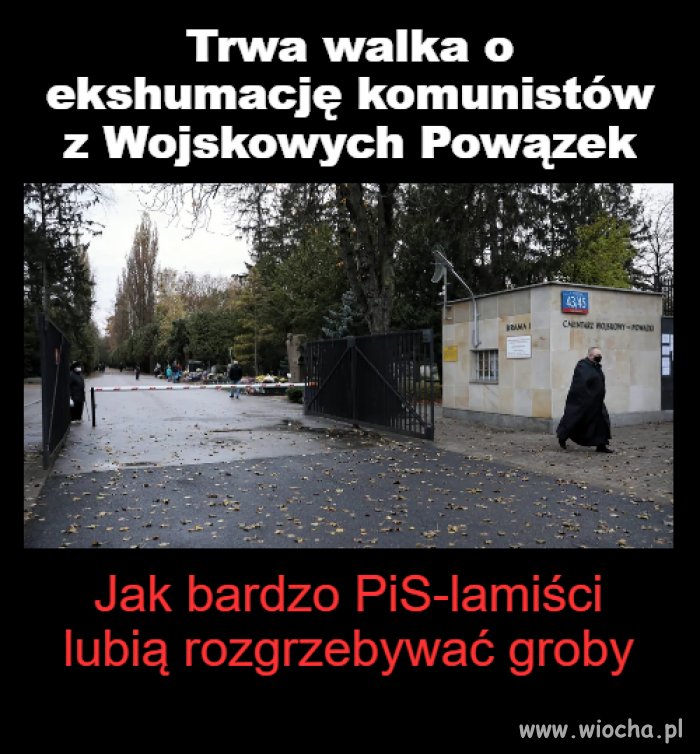 PiS-grabarze 